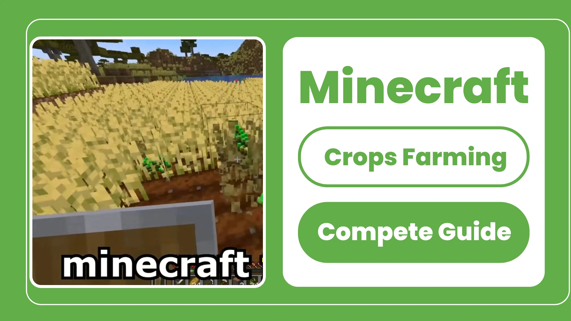 Crops Farming in Minecraft
