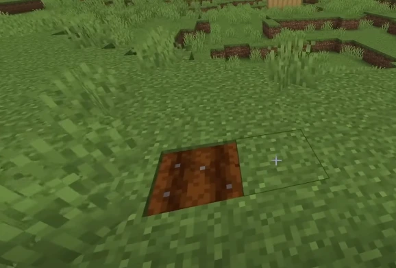 Farmland in minecraft