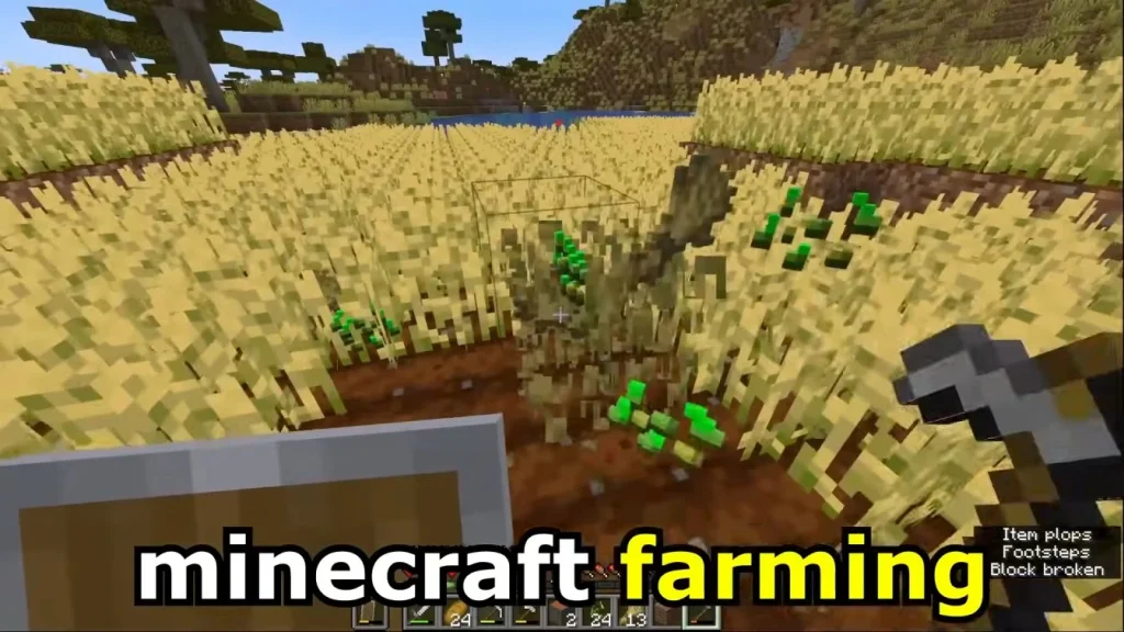 Crops Farming in Minecraft