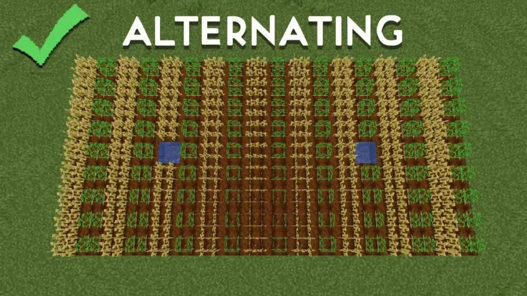 Secret Trick for Farming in Minecraft